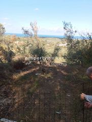 Αγροτεμάχια 1.500 τ.μ. για πώληση, Ν. Ρεθύμνου, Αρκάδι-thumb-1