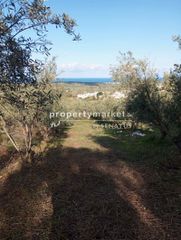 Αγροτεμάχια 1.500 τ.μ. για πώληση, Ν. Ρεθύμνου, Αρκάδι-thumb-2