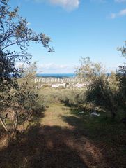 Αγροτεμάχια 1.500 τ.μ. για πώληση, Ν. Ρεθύμνου, Αρκάδι-thumb-3