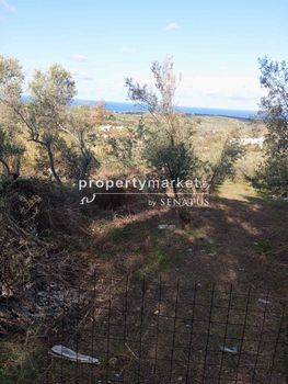 Parcel 1.500sqm for sale-Arkadi » Mesi