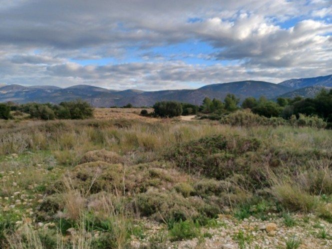 Αγροτεμάχια 4.471 τ.μ. πρός πώληση, Ν. Κεφαλονιάς, Κεφαλονιά