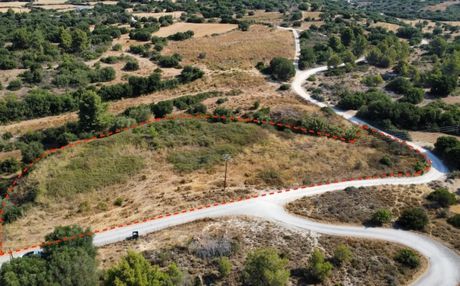 Αγροτεμάχια 4.471 τ.μ. πρός πώληση