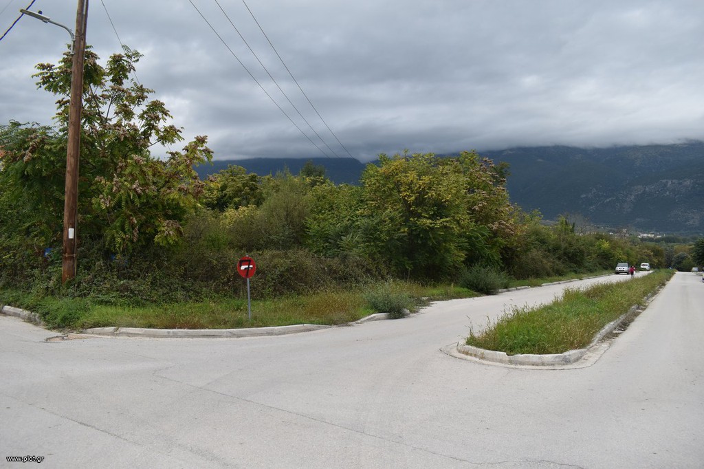 Οικόπεδο 590 τ.μ. για πώληση, Ν. Ιωαννίνων, Ιωάννινα