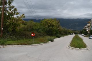 Οικόπεδο 590 τ.μ. προς πώληση, Ν. Ιωαννίνων, Ιωάννινα-thumb-1