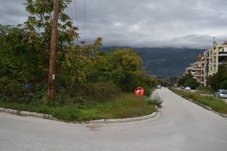 Οικόπεδο 590 τ.μ. προς πώληση, Ν. Ιωαννίνων, Ιωάννινα-thumb-2