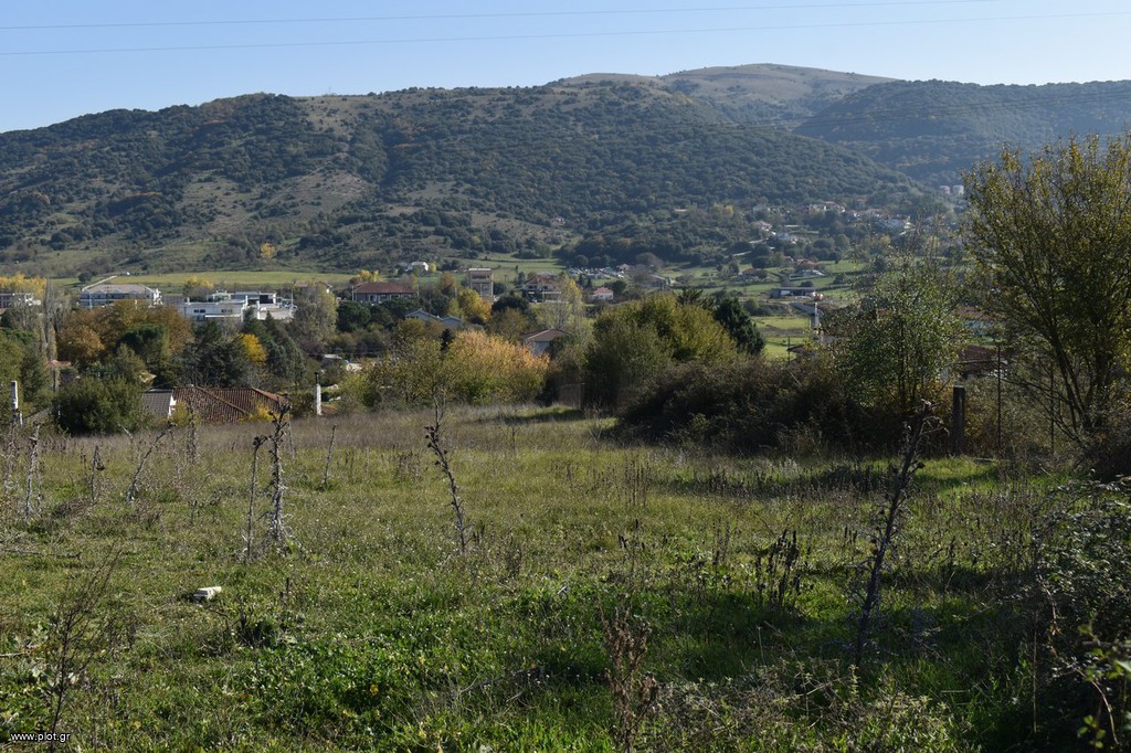 Αγροτεμάχια 6.087 τ.μ. προς πώληση, Μπιζάνιο