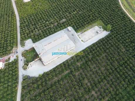 Industrial space 1.900sqm for sale-Argos