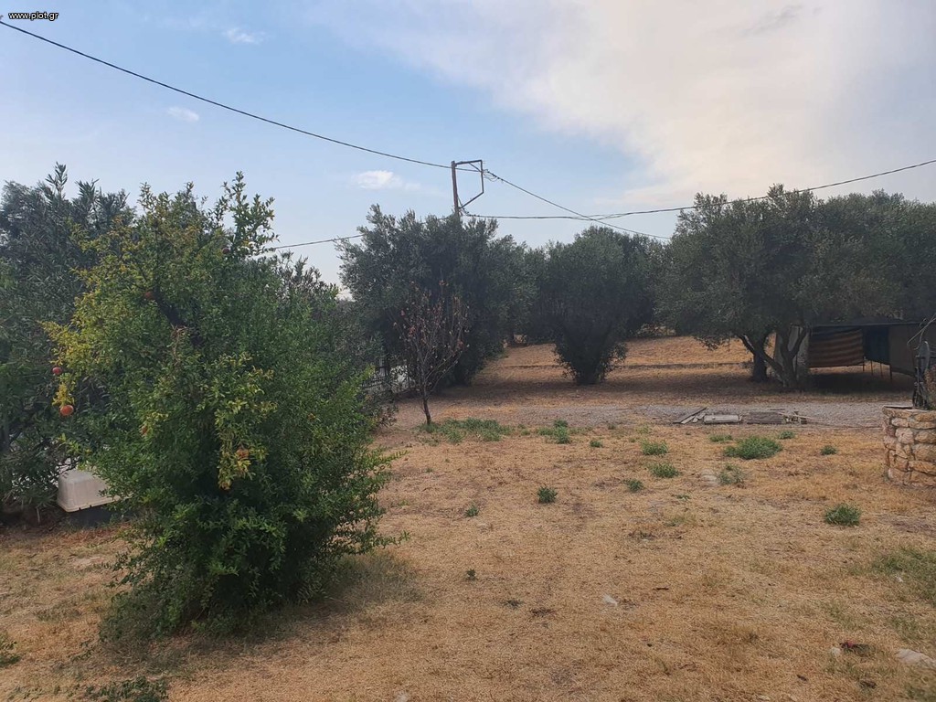 Μονοκατοικία 120 τ.μ. πρός πώληση, Εβρος, Αλεξανδρούπολη
