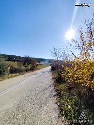 Parcel 4.717 sqm for sale, Chalkidiki, Triglia
