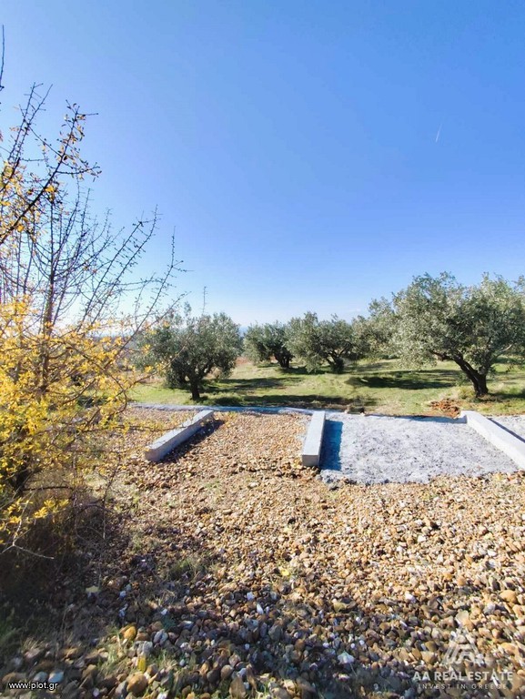 Αγροτεμάχια 4.717 τ.μ. προς πώληση, Χαλκιδική, Τριγλία