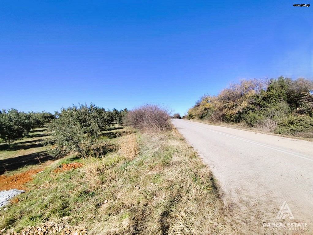 Αγροτεμάχια 4.717 τ.μ. προς πώληση, Χαλκιδική, Τριγλία