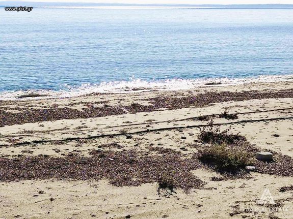 Οικόπεδο 2.613 τ.μ. για πώληση, Χαλκιδική, Πολύγυρος