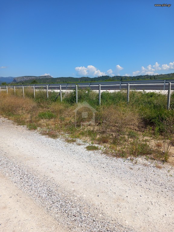 Αγροτεμάχια 13.400 τ.μ. προς πώληση, Κέντρο Βασιλικής