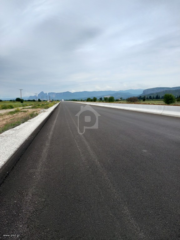 Αγροτεμάχια 13.400 τ.μ. πρός πώληση, Ν. Τρικάλων, Βασιλική