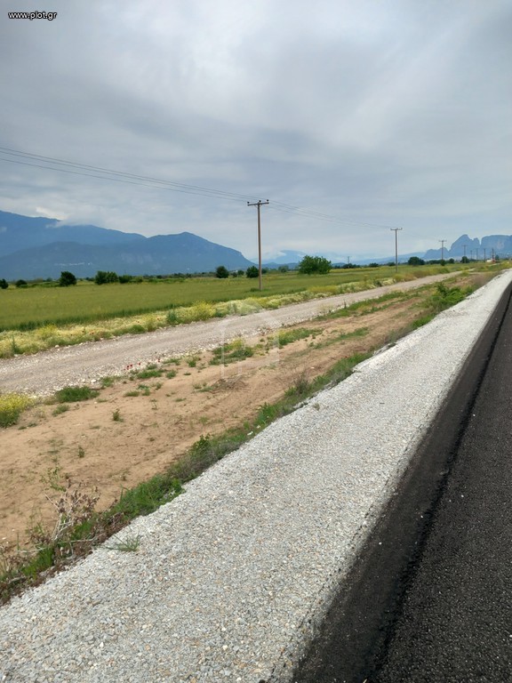 Αγροτεμάχια 13.400 τ.μ. πρός πώληση, Ν. Τρικάλων, Βασιλική