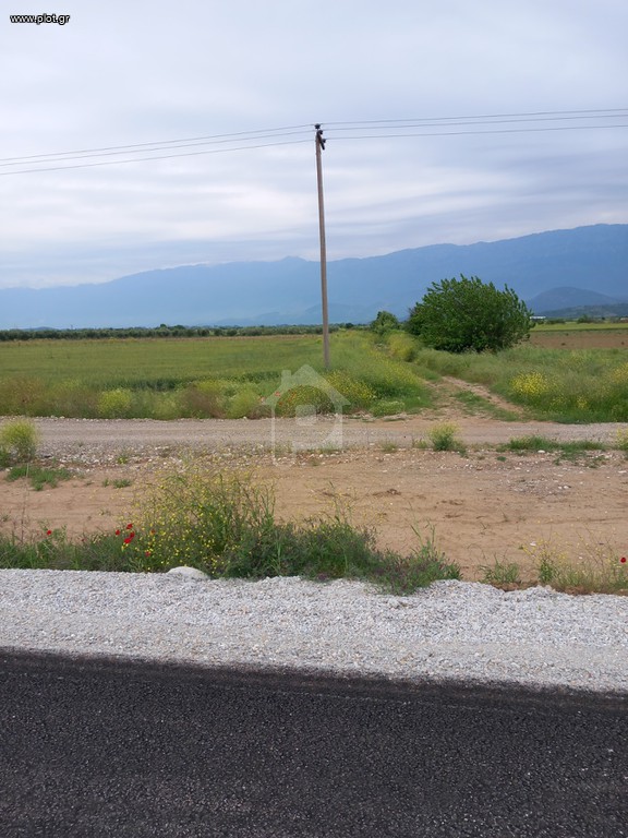 Αγροτεμάχια 13.400 τ.μ. πρός πώληση, Ν. Τρικάλων, Βασιλική