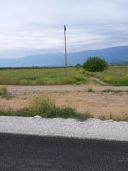 Αγροτεμάχια 13.400 τ.μ. για πώληση