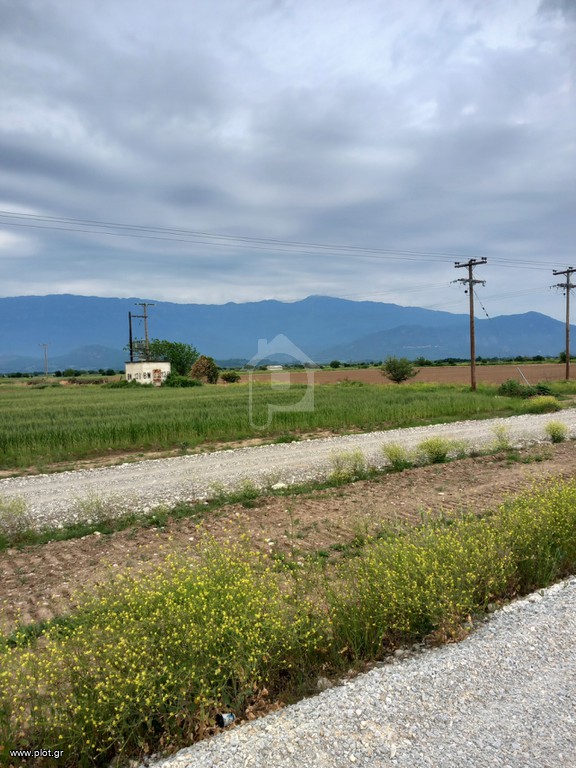 Αγροτεμάχια 13.400 τ.μ. πρός πώληση, Ν. Τρικάλων, Βασιλική