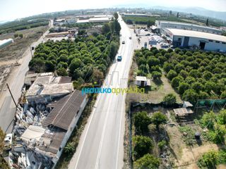 Οικόπεδο 14.000 τ.μ. για πώληση, Αργολίδα, Άργος-thumb-10
