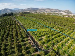 Οικόπεδο 14.000 τ.μ. για πώληση, Αργολίδα, Άργος-thumb-20