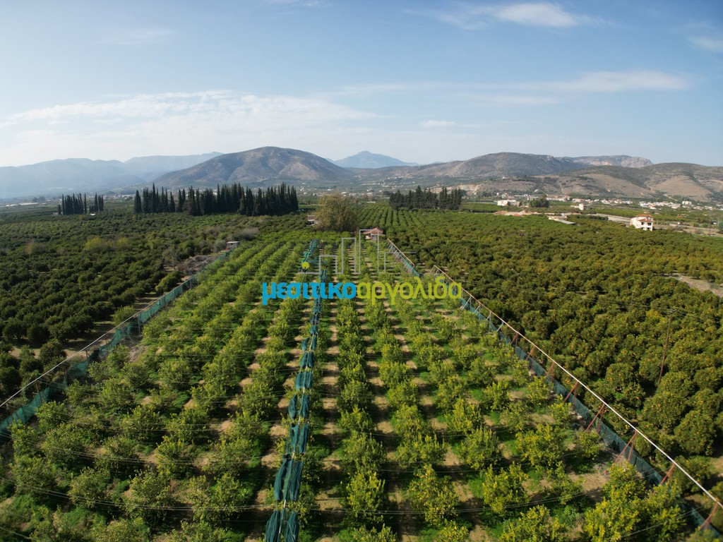 Οικόπεδο 14.000 τ.μ. προς πώληση, Αργολίδα, Άργος