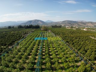Οικόπεδο 14.000 τ.μ. για πώληση, Αργολίδα, Άργος-thumb-2