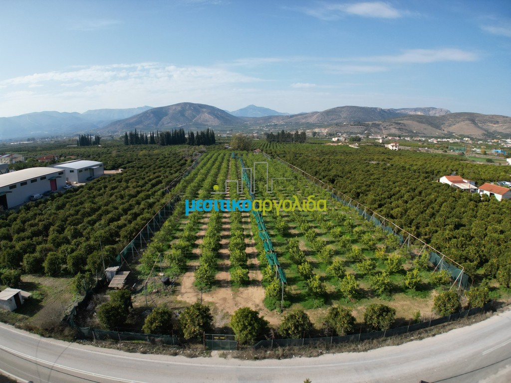 Οικόπεδο 14.000 τ.μ. για πώληση, Αργολίδα, Άργος