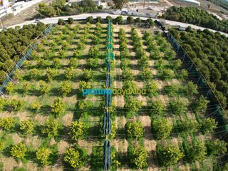Οικόπεδο 14.000 τ.μ. για πώληση, Αργολίδα, Άργος-thumb-9