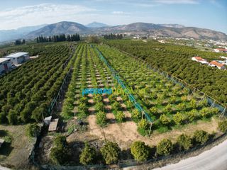 Οικόπεδο 14.000 τ.μ. για πώληση, Αργολίδα, Άργος-thumb-12