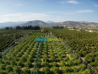 Οικόπεδο 14.000 τ.μ. για πώληση, Αργολίδα, Άργος-thumb-3