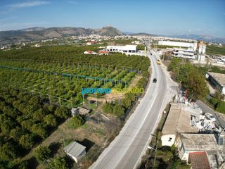 Οικόπεδο 14.000 τ.μ. για πώληση, Αργολίδα, Άργος-thumb-17