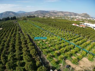Οικόπεδο 14.000 τ.μ. για πώληση, Αργολίδα, Άργος-thumb-18