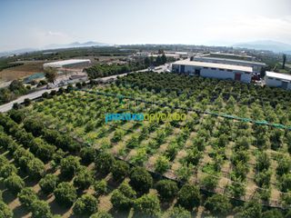 Οικόπεδο 14.000 τ.μ. για πώληση, Αργολίδα, Άργος-thumb-21