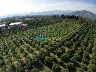 Οικόπεδο 14.000 τ.μ. για πώληση, Αργολίδα, Άργος-thumb-22