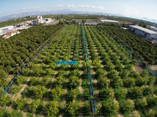 Οικόπεδο 14.000 τ.μ. για πώληση, Αργολίδα, Άργος-thumb-7