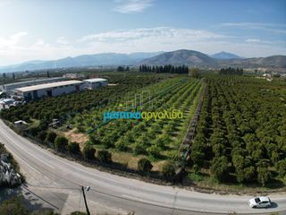 Οικόπεδο 14.000 τ.μ. για πώληση, Αργολίδα, Άργος-thumb-13