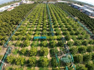 Οικόπεδο 14.000 τ.μ. για πώληση, Αργολίδα, Άργος-thumb-6