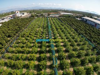 Οικόπεδο 14.000 τ.μ. για πώληση, Αργολίδα, Άργος-thumb-8