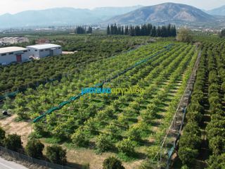 Οικόπεδο 14.000 τ.μ. για πώληση, Αργολίδα, Άργος-thumb-14