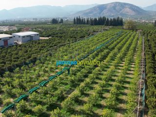 Οικόπεδο 14.000 τ.μ. για πώληση, Αργολίδα, Άργος-thumb-15