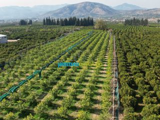Οικόπεδο 14.000 τ.μ. για πώληση, Αργολίδα, Άργος-thumb-16