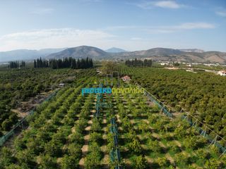 Οικόπεδο 14.000 τ.μ. για πώληση, Αργολίδα, Άργος-thumb-4