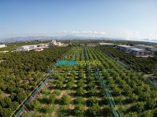 Οικόπεδο 14.000 τ.μ. για πώληση, Αργολίδα, Άργος-thumb-5