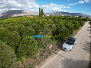 Αγροτεμάχια 3.250 τ.μ. για πώληση, Αργολίδα, Μιδέα-thumb-7