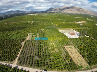 Αγροτεμάχια 3.250 τ.μ. για πώληση, Αργολίδα, Μιδέα-thumb-2