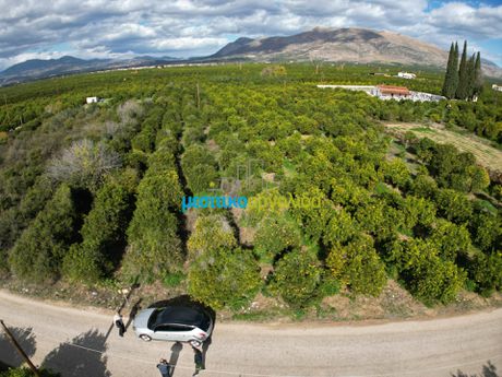 Αγροτεμάχια 3.250τ.μ. για πώληση-Μιδέα