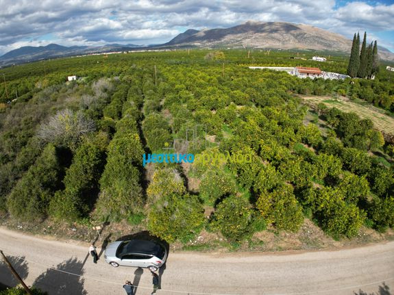 Αγροτεμάχια 3.250 τ.μ. για πώληση, Αργολίδα, Μιδέα