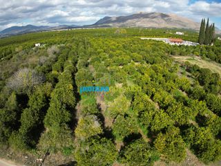 Αγροτεμάχια 3.250 τ.μ. για πώληση, Αργολίδα, Μιδέα-thumb-1