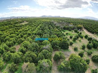 Αγροτεμάχια 3.250 τ.μ. για πώληση, Αργολίδα, Μιδέα-thumb-5
