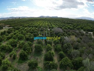 Αγροτεμάχια 3.250 τ.μ. για πώληση, Αργολίδα, Μιδέα-thumb-6